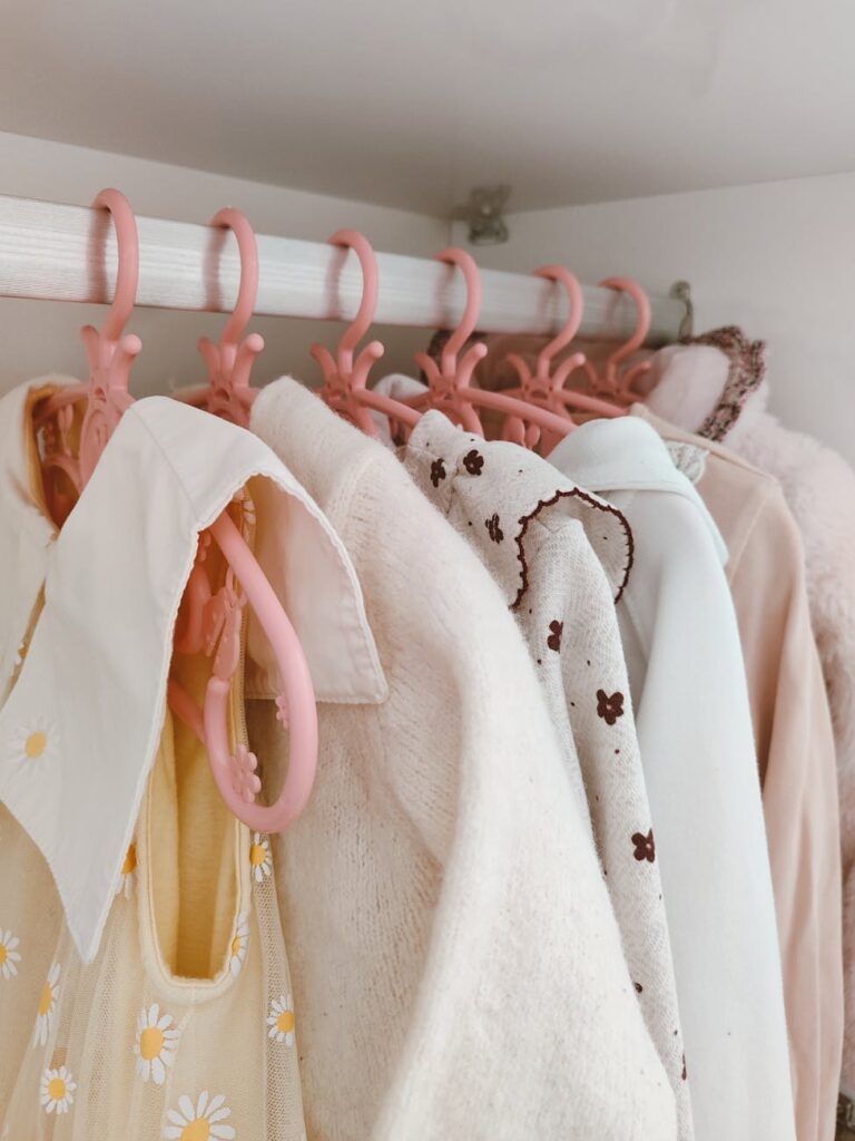 Closet Organizer Solutions Maximize Your Wardrobe Space